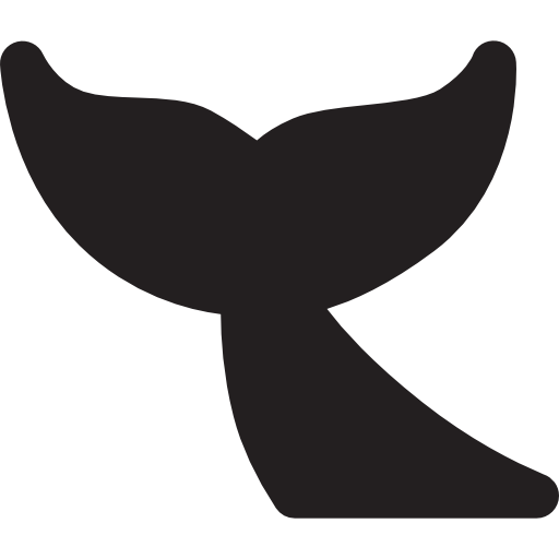 Whale Tail